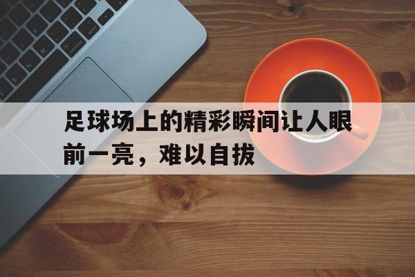 足球场上的精彩瞬间让人眼前一亮，难以自拔的简单介绍